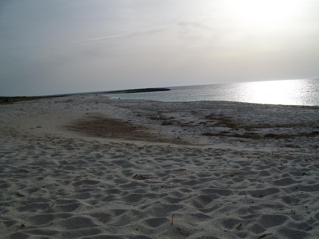 Notte Di Luna Room & Breakfast Oristano Bagian luar foto